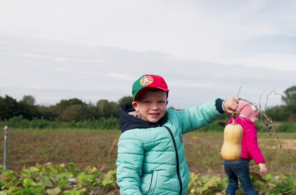 Die Kinder können am Biohof frisches Gemüse ernten. 