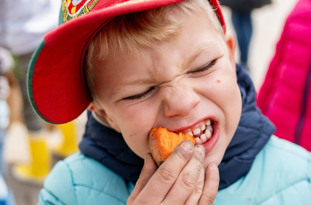 Die Kinder probieren das frische Biogemüse. 