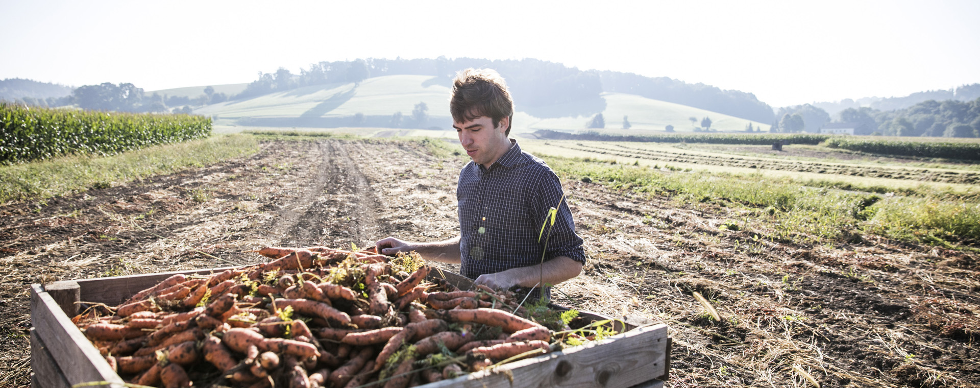 Bauer Lutz auf dem Feld mit Karottenernte